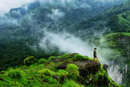 7 Nights / 8 Days Bangalore-Mysore-Coorg-Kabini Tour Package